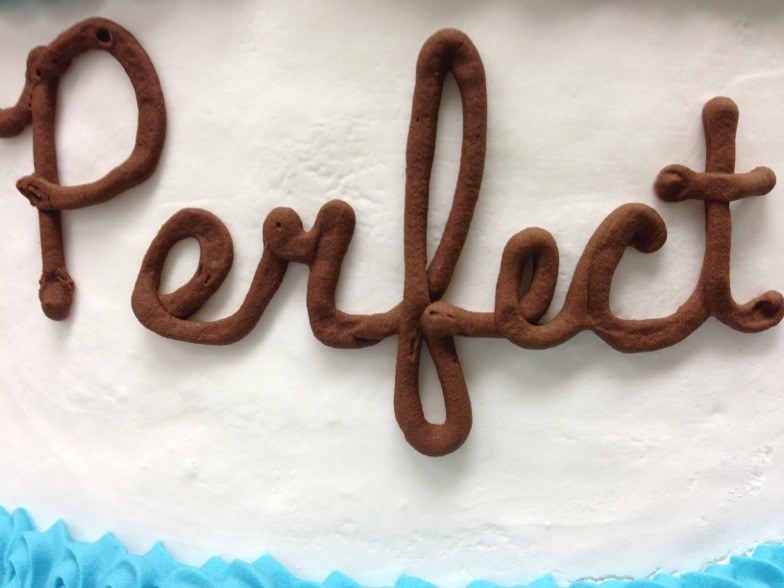 Standards of Perfection: Fly Perfect Bon Voyage