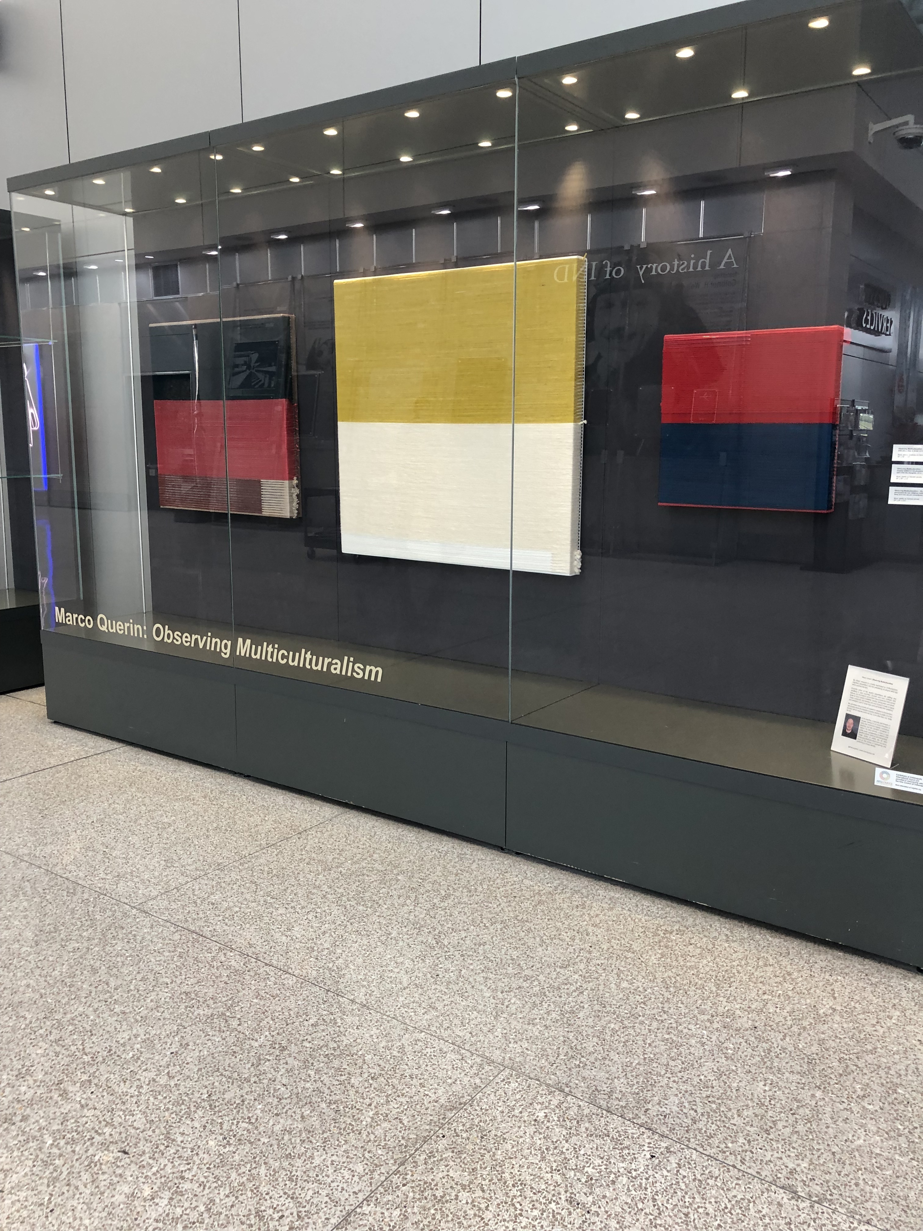 Observing Multiculturalism