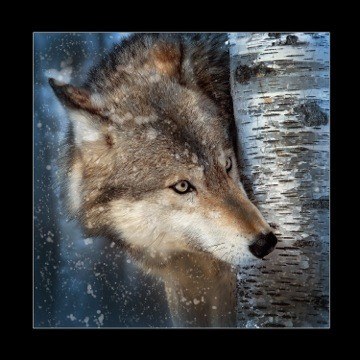 Indiana Wildlife Artists