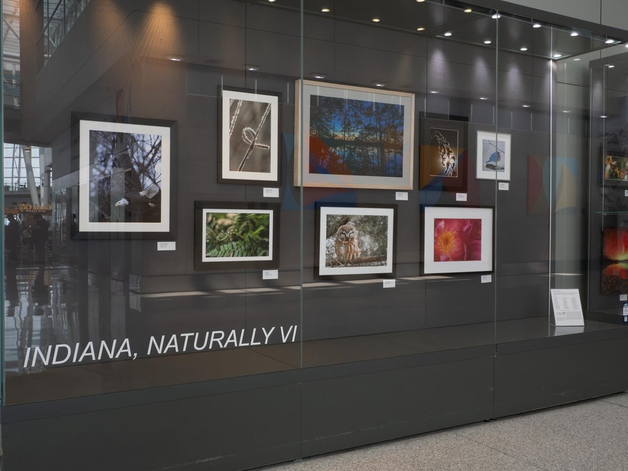 Indiana, Naturally VI