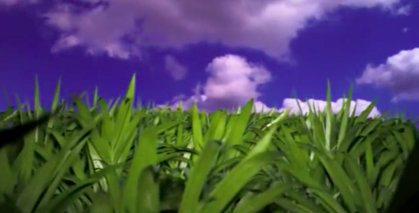 Lawn Ornaments | Indianapolis Airport Authority